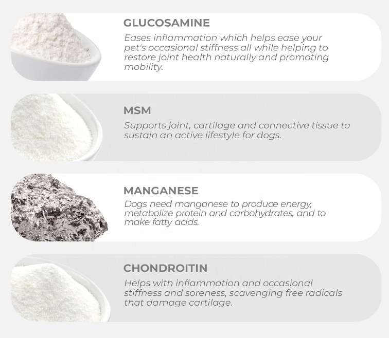 Joint Supplement Chewable Tablets - Image 4