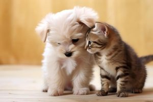 veterinary-coat-enhancement-paste-guide